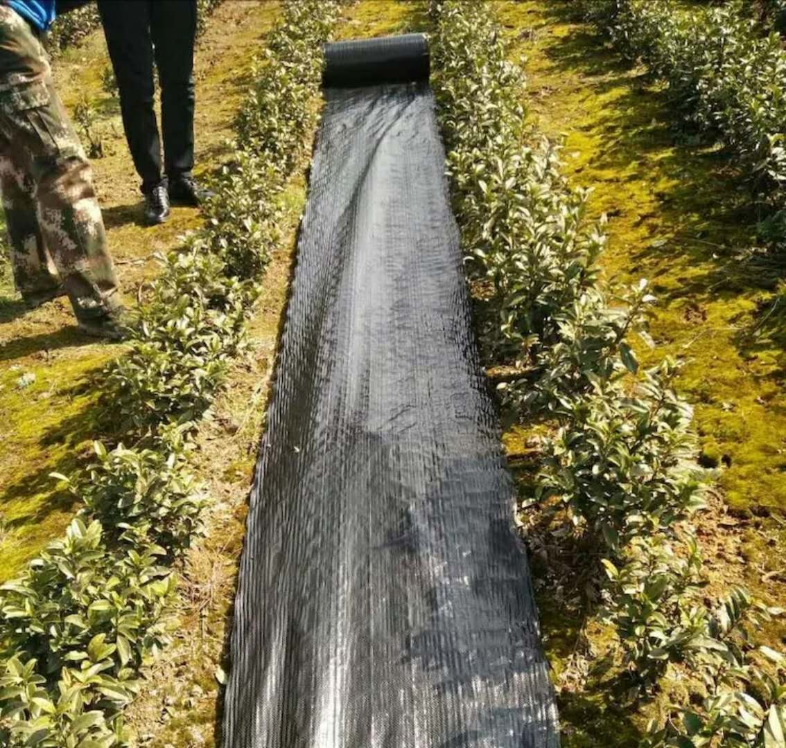 防草布、除草布